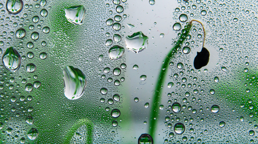 Goccioline d'acqua (droplets)